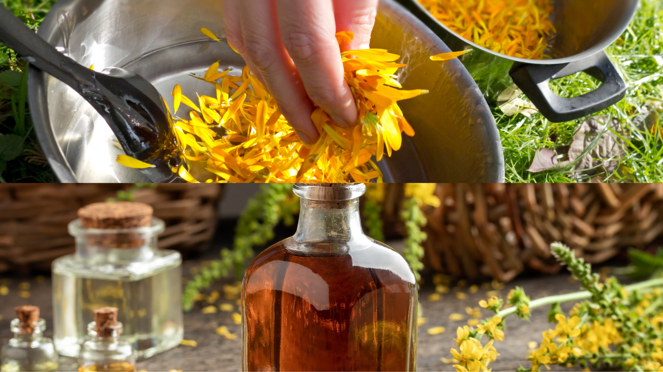 Moringa Neem Calendula Chamomile Salve/Balm. Relief for Eczema, dry skin and Psoriasis (pack of 2).